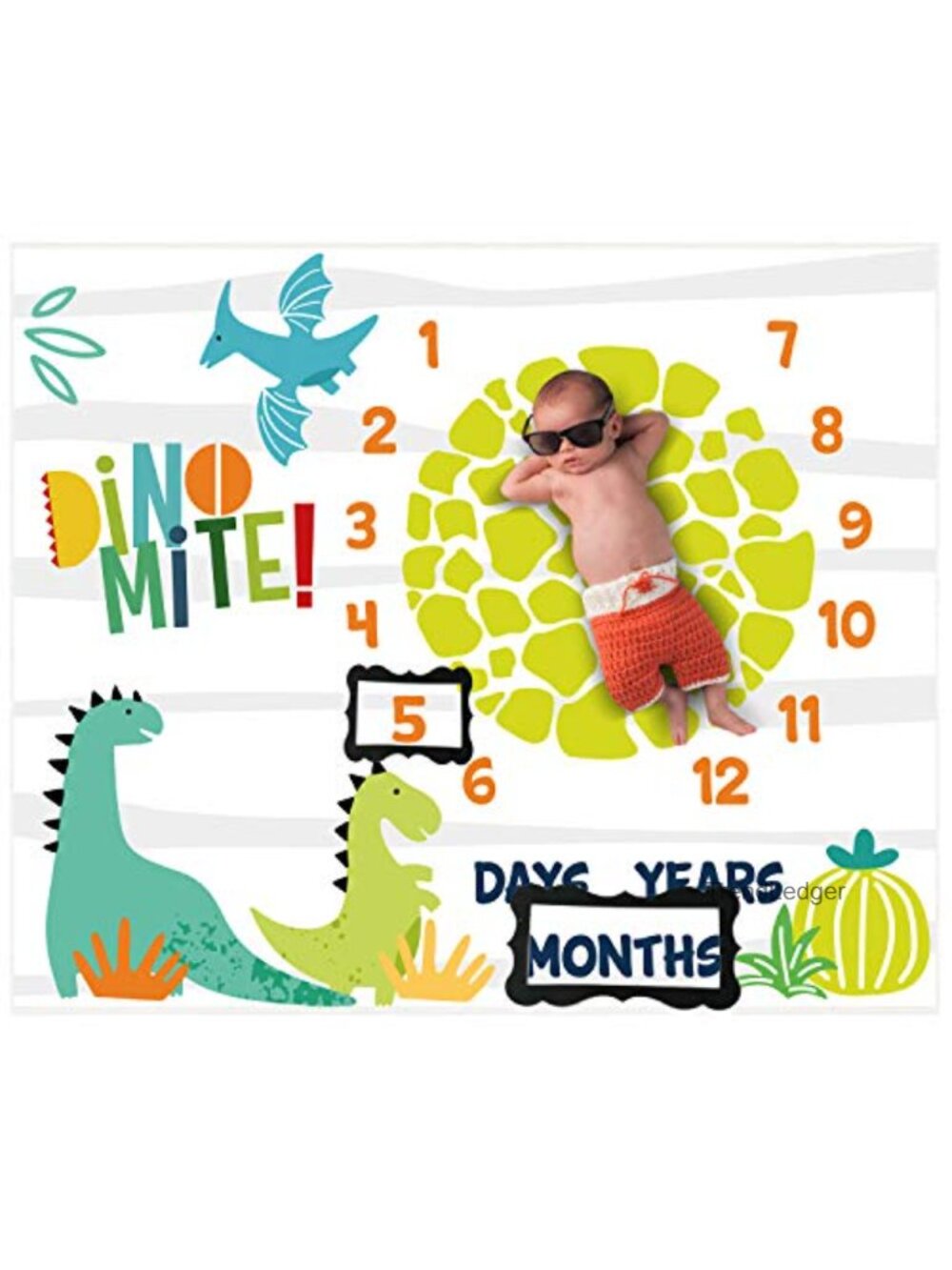 Baby Monthly Milestone Blanket Dinosaur Photo Prop Newborn
